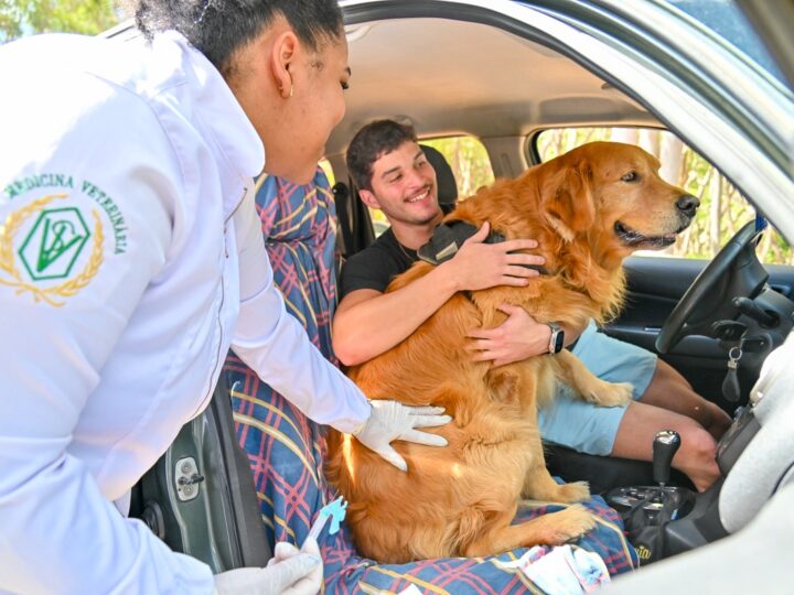 Vacinação antirrábica neste sábado será na Praça Nossa Senhora dos Verdes