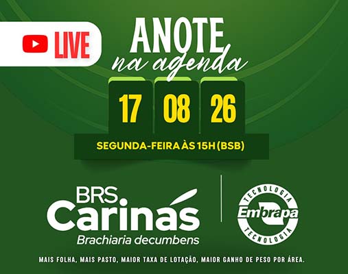 Live reúne pesquisadores para trazer mais informações sobre a nova cultivar BRS Carinás