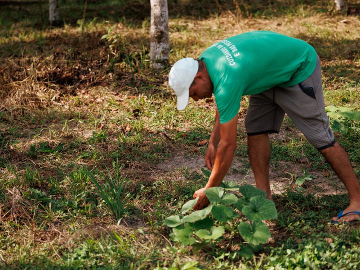 Edital seleciona cidades do sul da Bahia para projeto que fortalece alimentação escolar agroecológica