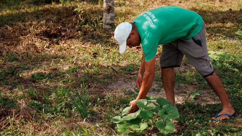 Edital seleciona cidades do sul da Bahia para projeto que fortalece alimentação escolar agroecológica