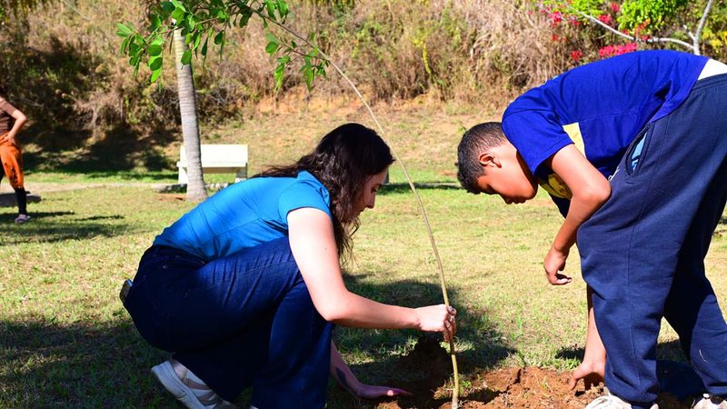 Estudantes plantam espécies nativas e ação marca avanço do Plano Municipal de Arborização
