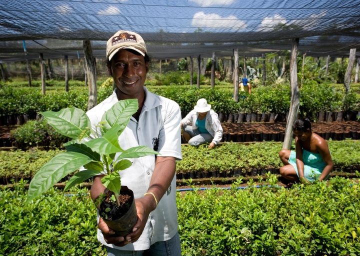 Na Bahia, órgãos públicos contrataram mais de R$ 2,6 milhões de agricultores familiares