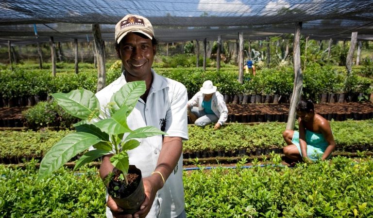 Na Bahia, órgãos públicos contrataram mais de R$ 2,6 milhões de agricultores familiares
