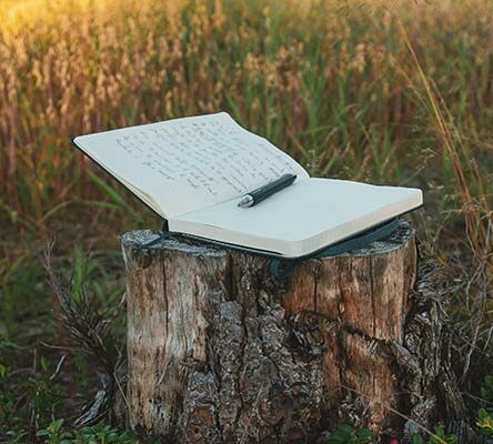 Quando se faz poesia, crônica da semana, por Nilson Lattari
